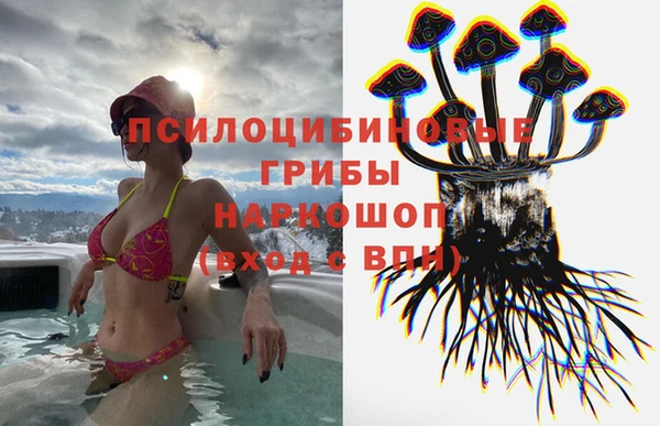 героин Каменка
