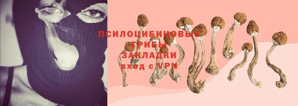твердый Каменск-Шахтинский