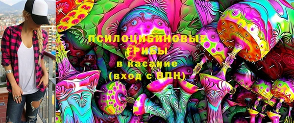 героин Каменка