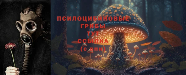 героин Каменка