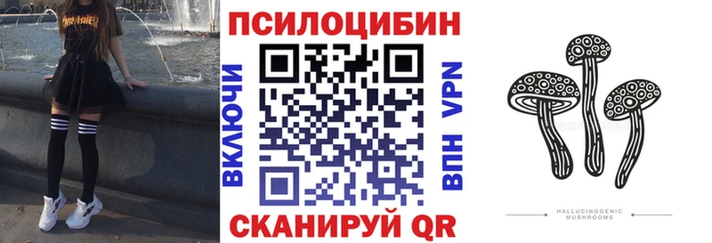 купить закладку  Серпухов  Псилоцибиновые грибы ЛСД 