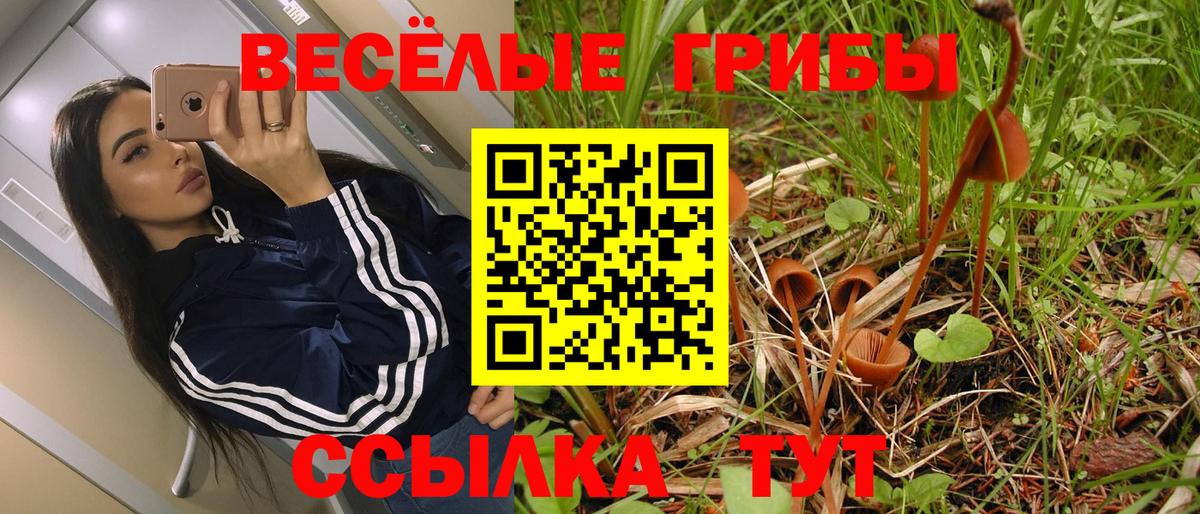 Галлюциногенные грибы прущие грибы Серпухов